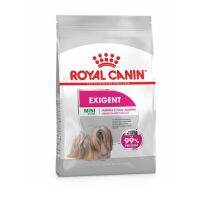 นาทีทอง ส่งฟรี Royal Canin สูตร Mini Exigent สำหรับสุนัขโตสายพันธุ์เล็ก ทานยาก ขนาด 1 กก.