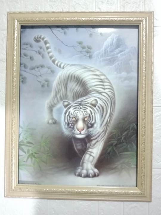 ภาพเสือขาว-ภาพเสือโคร่ง-ภาพมงคลติดผนัง-ขนาดภาพพร้อมกรอบ-18x24-นิ้ว-ไม่ตัดภาพ