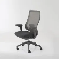 (แถมพนักพิงศีรษะแบบผ้า)Modernform เก้าอี้สำนักงาน รุ่น Series16 Commercial เท้าแขนปรับได้ 3D เบาะหุ้มผ้าสีดำ พนักพิงตาข่ายเทา ขาไนลอน