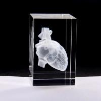 Heart Anatomy Model Design Cube Crystal 3D Laser Crystal Engraving With Detailed Visible Blood System For Hospital Souvenirs