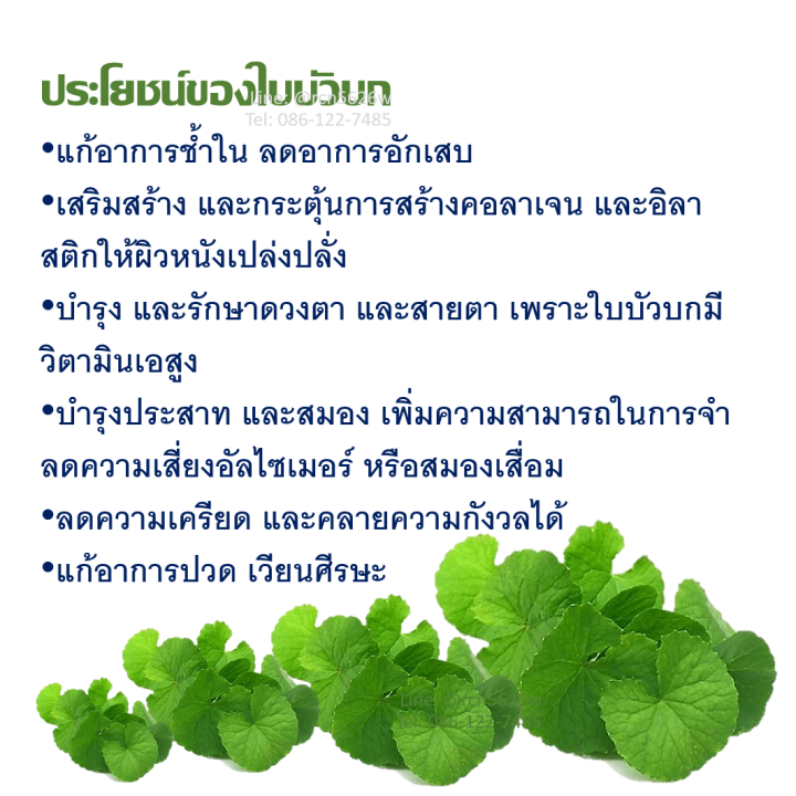 โกตูลา-ซี-อี-กิฟฟารีน-สารสกัดจากใบบัวบก-ผสมวิตามินซีและวิตามินอี-gotula-c-e-giffarine