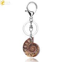 CSJA Motorcycle Car Door Keychains Key S Key Holder Lobster For Mens Women Natural Stone Ammonite Animal Shell Pendants F024