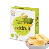 Wel-B Freeze-dried Jackfruit 25g. (ขนุนกรอบ 25 กรัม)-ขนม ขนมเด็ก ขนมเพื่อสุขภาพ ฟรีซดราย ไ