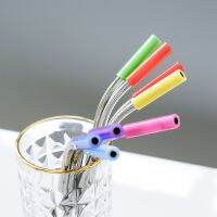 8 Colors Stock Silicone Tips for Stainless Steel Straws Tooth Collision Prevention Straws Cover Silicone Tubes