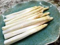 11 เมล็ดพันธุ์ หน่อไม้ฝรั่ง White Asparagus seed. มีคู่มือพร้อมปลูก อัตรางอกสูง 80-85%