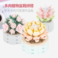 [COD] Succulent potted building blocks childrens assembled model plant simulation bouquet ornaments flower toys