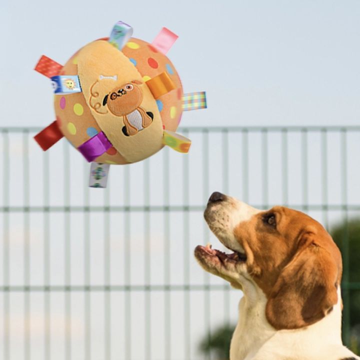 familiars-บอลหมา-ของเล่นหมา-ลูกบอลฝึกหมา-ลูกบอล-สำหรับสัตว์เลี้ยง-ของเล่นสัตว์เลี้ยง-มีระฆัง-สีสันน่ารัก-ทำจากวัสดุทนทาน