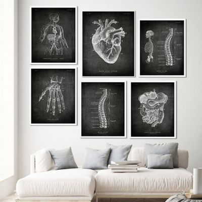 Vintage Human Anatomy Artwork,ภาพผนังทางการแพทย์,ภาพวาดพิมพ์ผ้าใบโครงกระดูกกล้ามเนื้อ,เหมาะสำหรับตกแต่งโรงพยาบาลและคลินิก