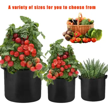 Fabric Plant Pots Grow Bags 25/30/35/40cm Gallon Gardening