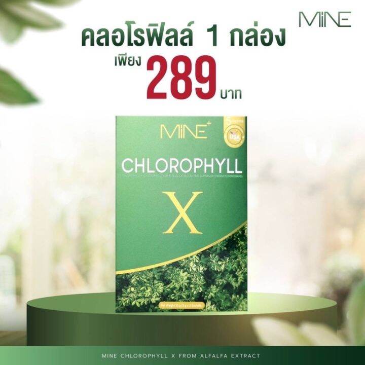 ส่งฟรี-1-แถม-1-เซรั่ม-ครอโรฟิว-ของแท้-เซรั่ม-my-skin-เจ้าสัว-มายด์มิ้นท์นารา-เซรั่มมายสกิน-มายสกิน-เซรั่ม-ขนาด-15ml