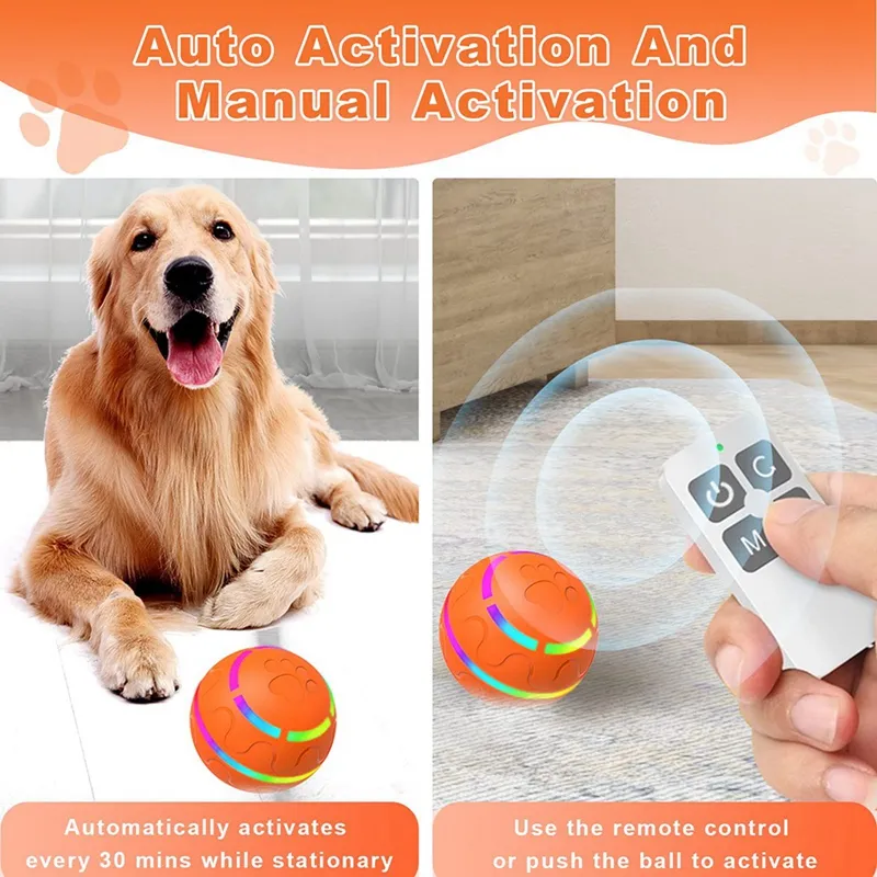 Interactive Dog Toys Motion Activated
