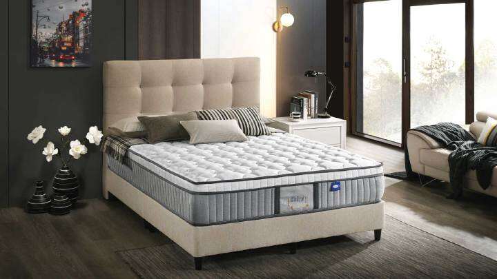 [ FREE DELIVERY & INSTALLATION ] Dreamland Miranda Bed Only (Divan and ...