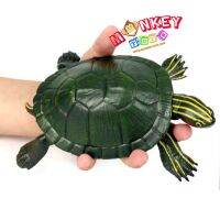 Monkey Toys - โมเดลสัตว์ tortoise เต่า นา ขนาด 14.00 CM (จากหาดใหญ่)