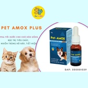 sẵn sàng Dung Dịch Uống Pet-Amox Plus 3g Giảm Tiêu Chảy Hô Hấp Cho Chó Mèo