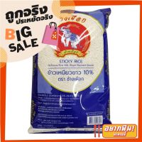 ?ยอดนิยม!! ช้างเผือก ข้าวเหนียวขาว 10% 5 กก. Royal Elephant Sticky Rice 10% 5 kg ✨นาทีทอง✨