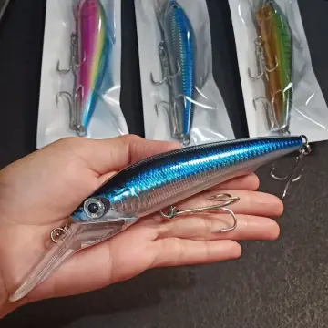 Best Barracuda Lures (For Trolling & Sight Fishing) 