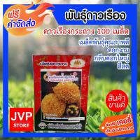 **ส่งฟรี**100เมล็ด เมล็ดพันธุ์ดาวเรืองกระถาง เมล็ดพันธ์แข็งแรง กลีบดอกใหญ่ ดอกแข็งแรง สีเหลืองสดใส