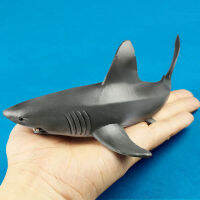 AShark ของเล่นรุ่นขากรรไกรจำลองน่ารัก Sea Life สัตว์ Action Figure สำหรับของขวัญเด็ก Tiburones Jugete คลาสสิก PasticM