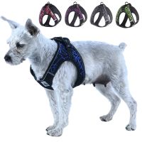 【JCHEN pet supplie】 Arnés สะท้อนแสง Para Perros Pequeos Y Medianos Chaleco Para Mascotas Collar Ropa De Malla Para Trotar Correa เสื้อสำหรับสุนัข Gatos