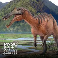 ? WW PNSO Dinosaur King 2022 Adult and Big Kids Toy Model Chinese Shanglong Chongzuo Collection Decoration Spot