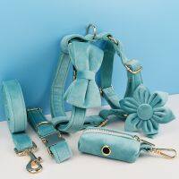 【FCL】❍ Turquoise Stone Dog Collar And Leash Set Dogs Custom Engraved Nameplate Supplies 40