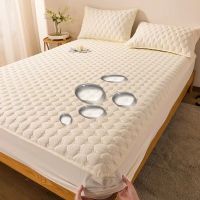 High Quality All-inclusive Anti-bacterial Maternal Child Grade Bed Fitted Sheet Waterproof Quilted Mattress Cover No Pillowcase