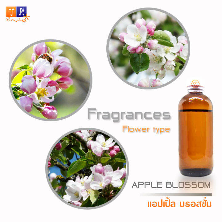 หัวน้ำหอมกลิ่น-fw01-apple-blossom-แอปเปิ้ล-บรอสซั่ม-ปริมาณ-200กรัม