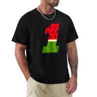 Ross Chasn Watermelon 1 T-Shirt Cat Shirts Blouse T Shirt For Men