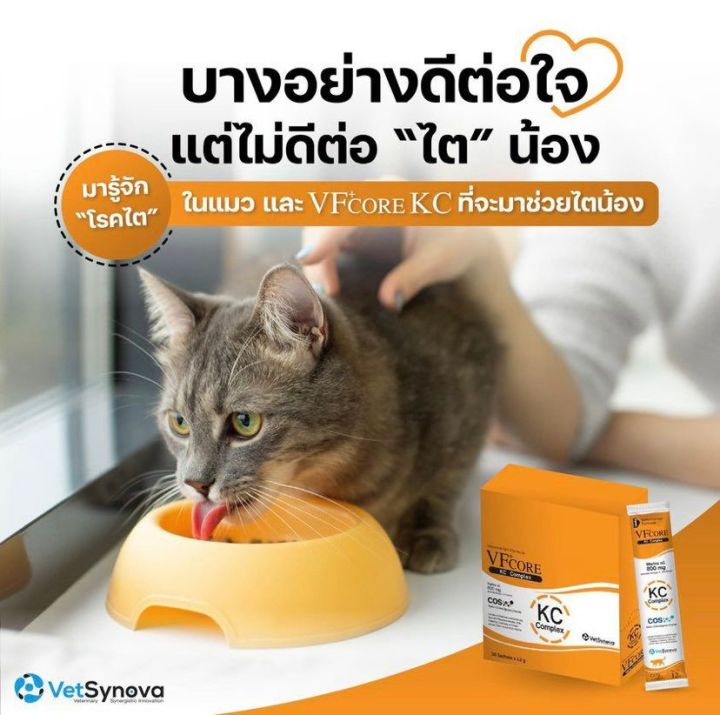 vf-core-kc-อาหารเสริมแมว-บำรุงไต-ขนมแมวเลีย-สูตรสีส้ม-แมวโรคไต-ทานง่าย-อร่อยด้วย-จำนวน-5-ซอง
