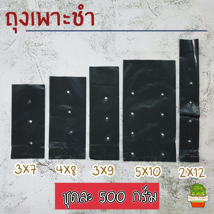 ถุงเพาะชำสีดำ-เจาะรู-ขนาด-500-กรัม-ถุงเพาะกล้า-ถุงเพาะดำ-เนื้อหนา-ถุงเพาะชำสีดำ-เจาะรู-ถุงเพาะกล้า-ถุงเพาะดำ-ถุงเพาะชำ-4x8-เพาะยางพารา-2x12-ถุงเพาะต้นกล้า-ถุงเพาะทุเรียน-ถุงเพาะชำยางพารา