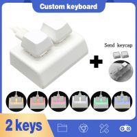 【City of Angels】 OSU 2 Keys Macro Programming Keyboard RGB Mini Gaming Drawing Red Switch ปุ่มกดแบบกำหนดเอง