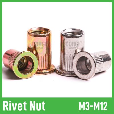 Blind Rivet Nut for Housing Panel Furniture M3 M4 M5 M6 M8 M10 M12 304 Stainless Steel Zinc Plated Flat Head Threaded Insert nut