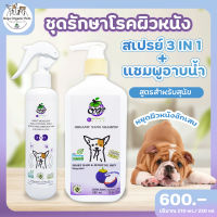 Orga Organic Pets ชุดดูแลผิวหนัง สเปรย์ 3in1 + แชมพูอาบน้ำ (สูตรสำหรับน้องหมา) สเปรย์อาบแห้ง แชมพูอาบน้ำ กำจัดกลิ่นได้ดี สะอาด ปลอดภัย