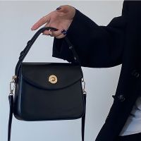 Luzi 2023 niche new womens bag high-end retro armpit bag small bag one shoulder Messenger portable small square bag 〖LYUE〗