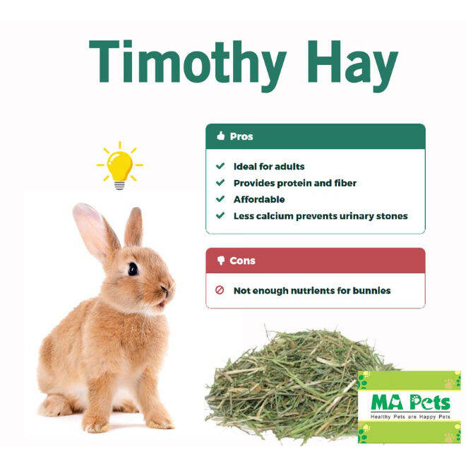 DUST FREE PREMIUM HIGH QUALITY Timothy Natural Imported Hay for Small