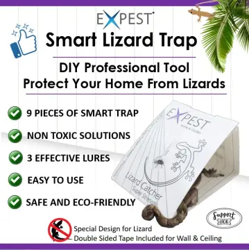 DIY Lizard Trap That Actually Works!!!!! 