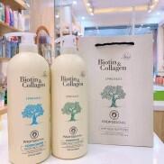 Cặp dầu gội xả Trắng BIOTIN COLLAGEN BC giảm rụng tóc
