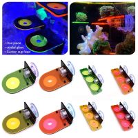 【cw】 Fluorescence Coral Frag Bracket Aquarium Cultivating Glowing with Plugs Holder Accessories