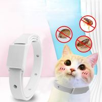 ZZOOI Anti Flea Tick Collar For Cat Small Dog Antiparasitic 8Month Protection Adjustable Puppy Kitten Collar Breakaway Pet Accessories