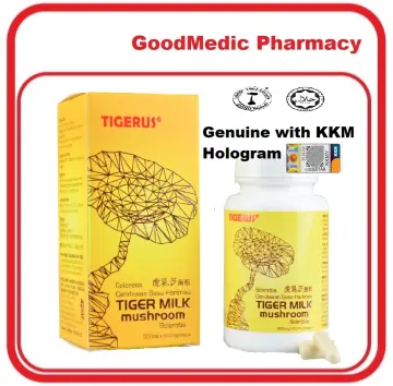 Milk mushroom supplement tiger Everything one