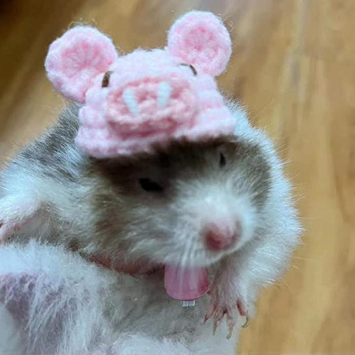 cute-mini-pet-hat-small-animal-clothing-for-hedgehog-hat-hamsters-i3f7