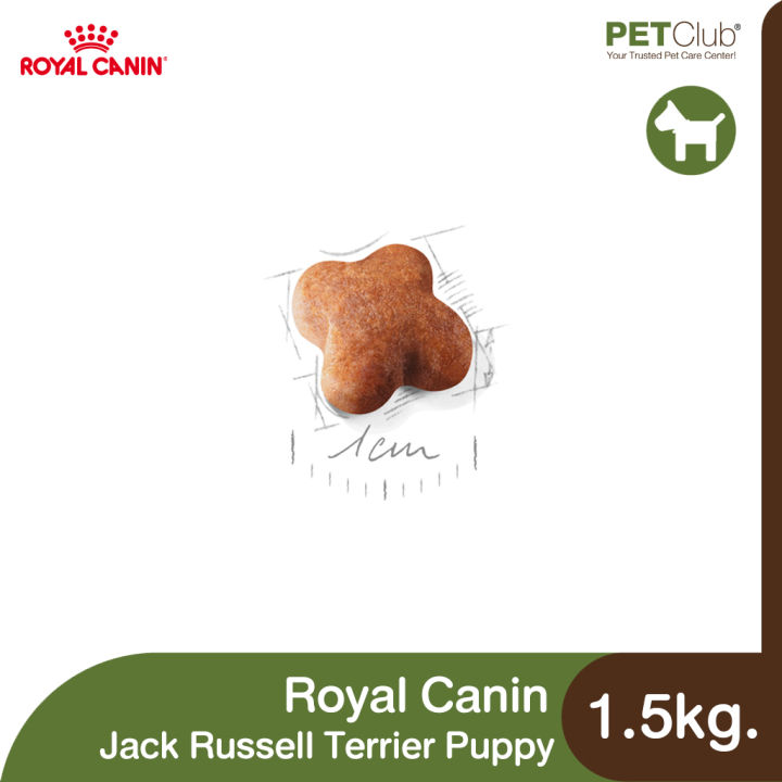 petclub-royal-canin-jack-russell-terrier-puppy-ลูกสุนัข-พันธุ์แจ็ค-รัสเซลล์-เทอร์เรีย-1-5kg