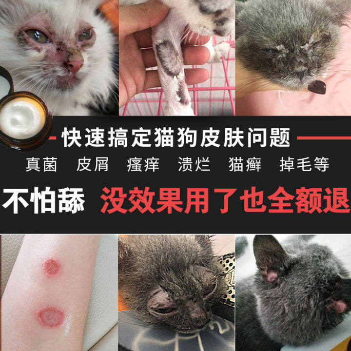 Immortal cream for cat and dog fungal dermatosis special cream for cat