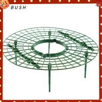 BUSH 1pc กระถาง ปกป้อง หลีกเลี่ยงการเน่า กรอบการเติบโต สตรอเบอร์รี่รองรับ พลาสติก ชั้นวางของที่กำลังเติบโต กระถางต้นไม้