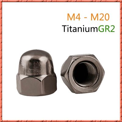 5-20pcs/lot DIN1587 Pure titanium cap nut M4/M5/M6/M8/M10/M12/M16/M20 Hex Cap Decorative Cover Semicircle Acorn Nut