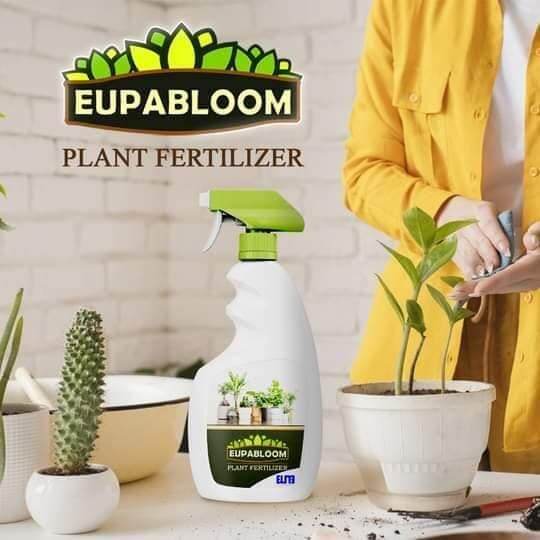 EupaBloom Fertilizer Promotes Better Growth of Ornamental Plants