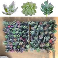 12 or 16pcs/set Artificial Succulents Fake Faux Flowers Mini PVC Simulated Floral Plants Craft DIY Accessories Home Office Decor