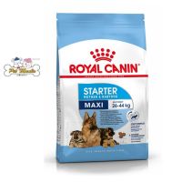 [ลด50%] Royal Canin Maxi Starter Mother &amp; Babydog (อาหารสุนัขแบบเม็ด สำหรับแม่สุนัขพันธุ์ใหญ่ช่วงตั้งท้อง-หย่านมลูก) 4kg