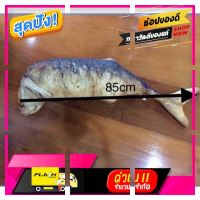 [ Sale ราคาพิเศษ!! ] หมอนข้างปลาทูทอดขนาด85cm. [ สินค้าเกรดพรีเมี่ยม คุณภาพดี ]