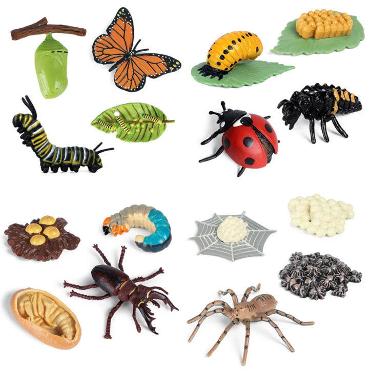 RABABY TOY For Kid Kids Toy Butterfly Growth Cycle Insect Animals ...